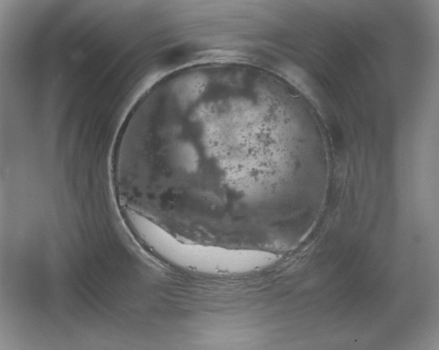 X0000067461283200604071118