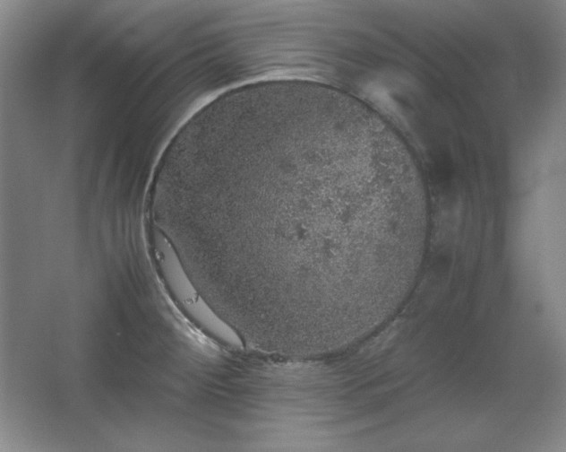 X0000067461284200604071118