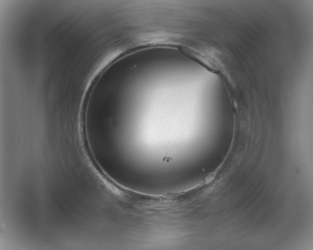 X0000067461285200604071118