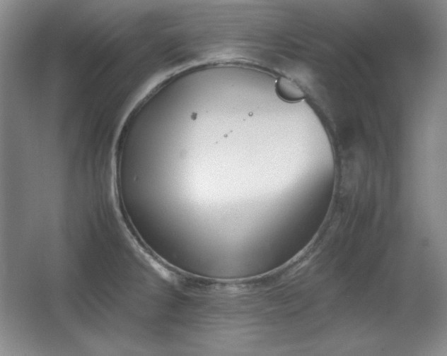 X0000067461286200604071118