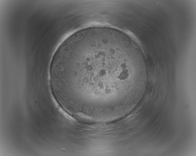 X0000067461287200604071118