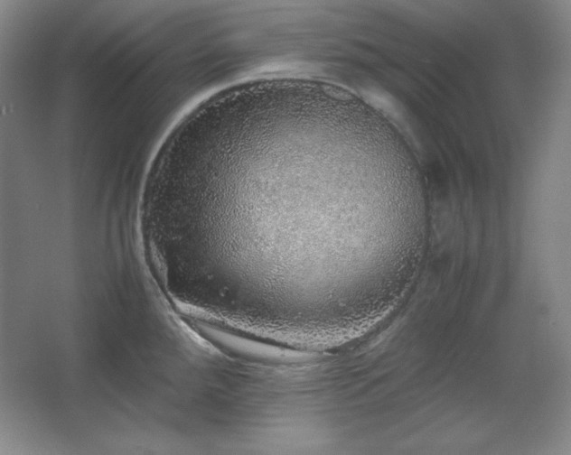 X0000067461288200604071118