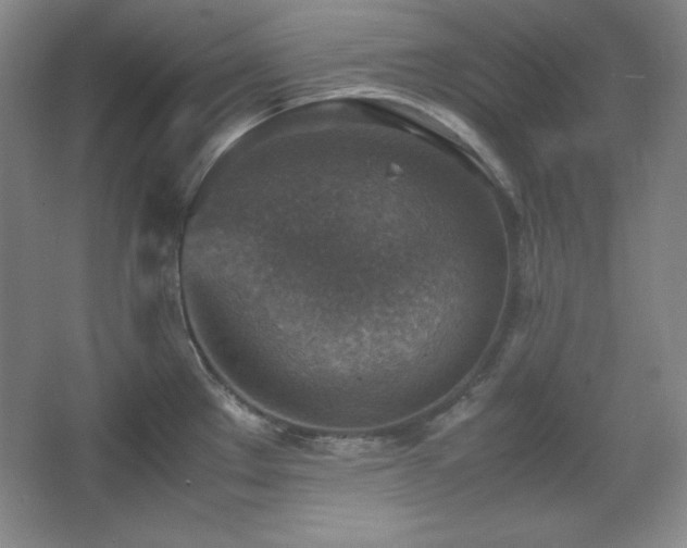 X0000067461289200604071118