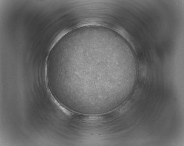 X0000067461290200604071118