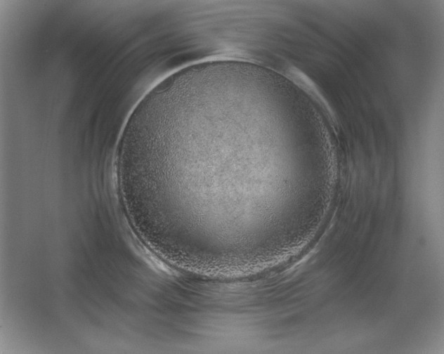 X0000067461292200604071118