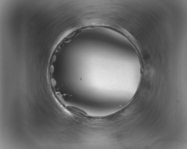 X0000067461293200604071118