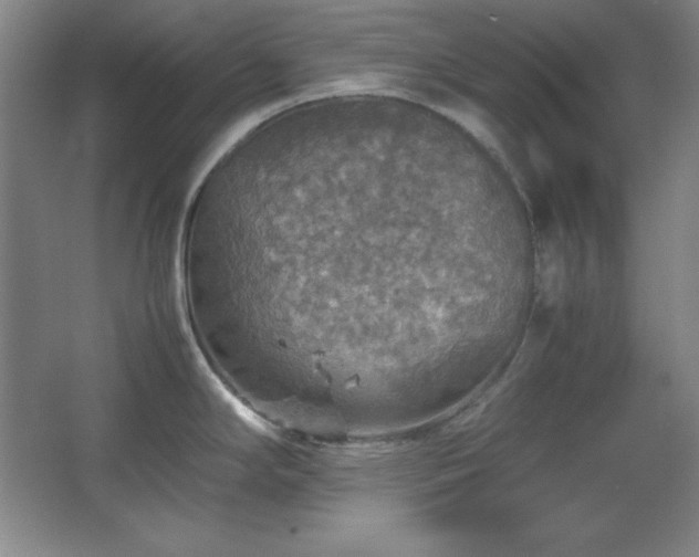 X0000067461294200604071118