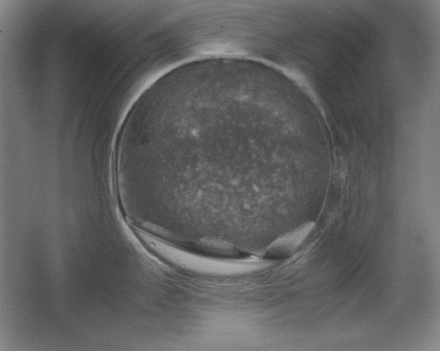 X0000067461295200604071118