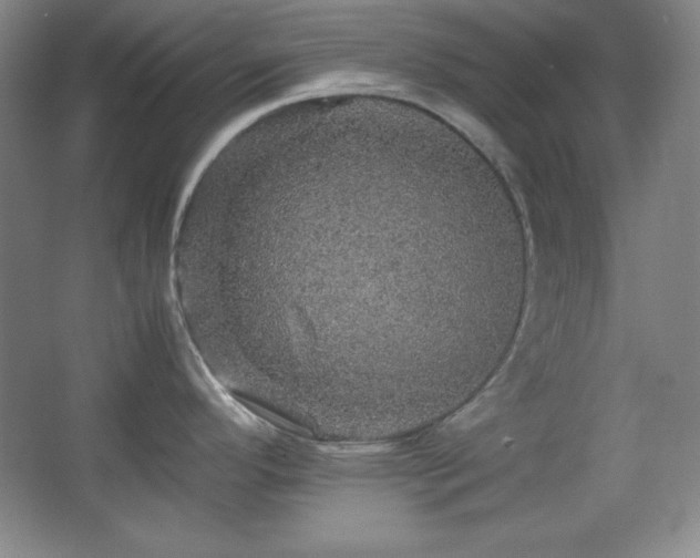 X0000067461296200604071118