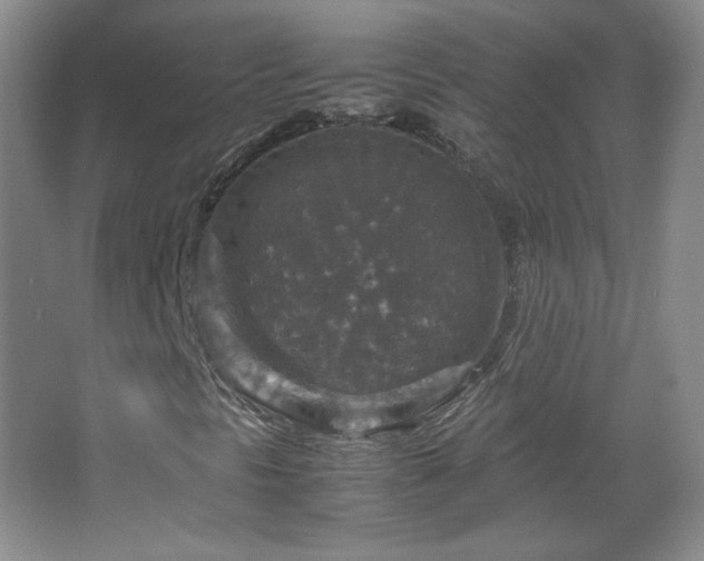 X0000067461297200604071117