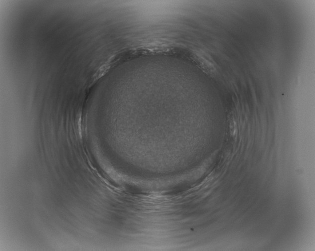 X0000067461298200604071117