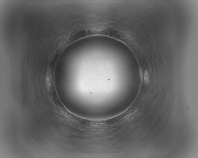 X0000067461299200604071117