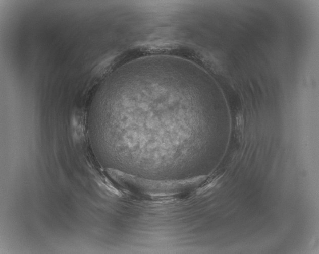 X0000067461300200604071117