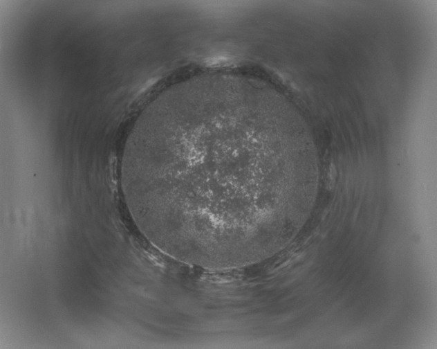 X0000067461301200604071117