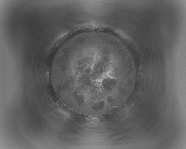 X0000067461302200604071117