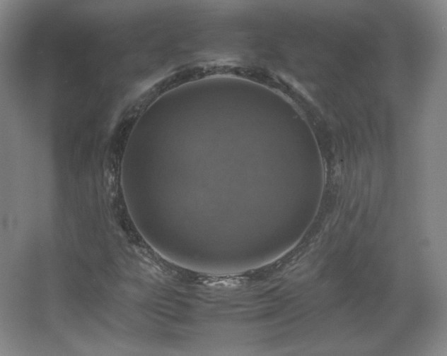 X0000067461303200604071117