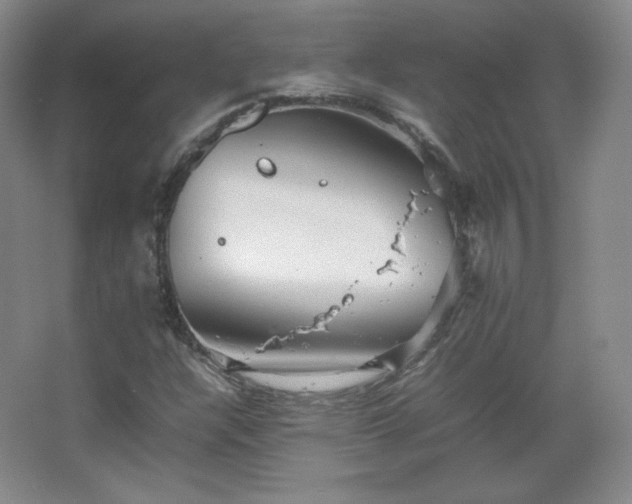 X0000067461304200604071118