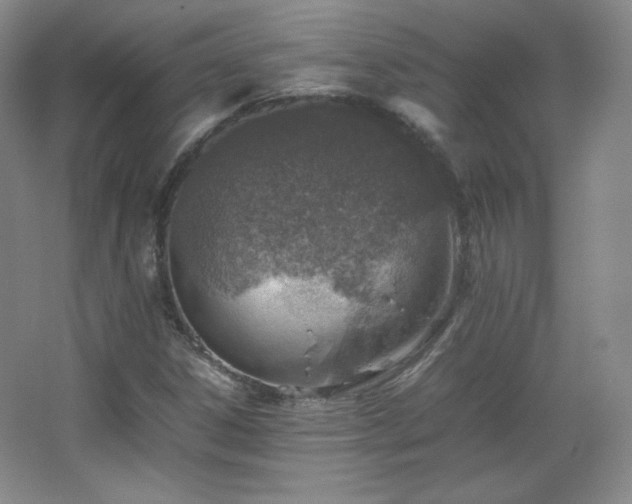 X0000067461306200604071118