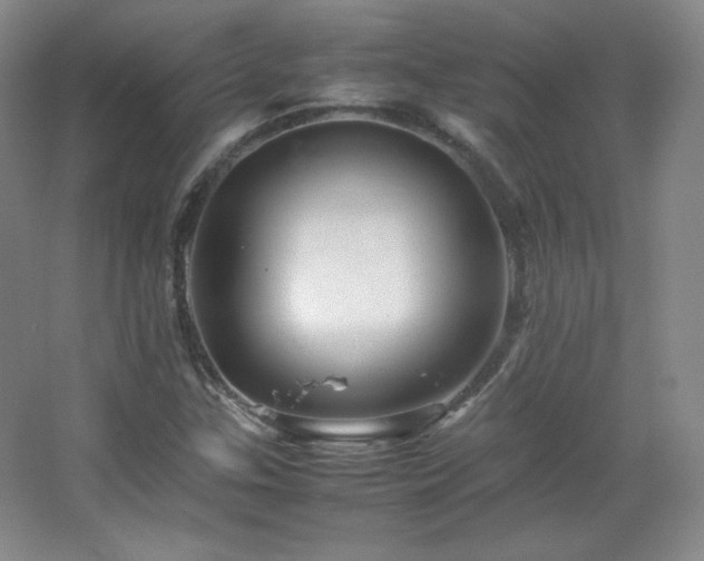 X0000067461307200604071118