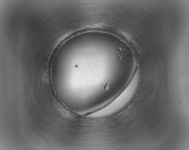 X0000067461308200604071118