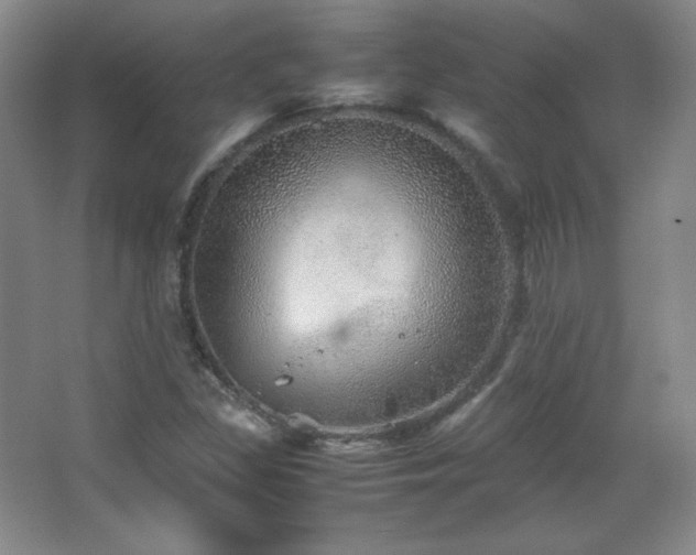 X0000067461309200604071118