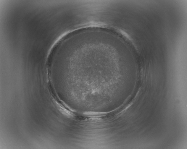 X0000067461310200604071118