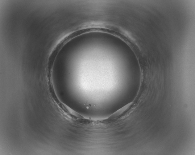 X0000067461312200604071118