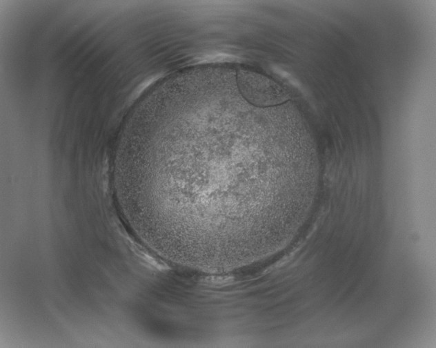 X0000067461313200604071118