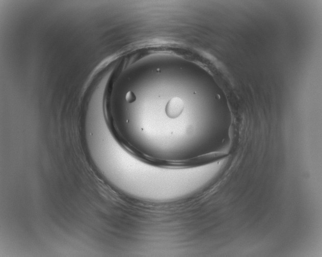 X0000067461314200604071118