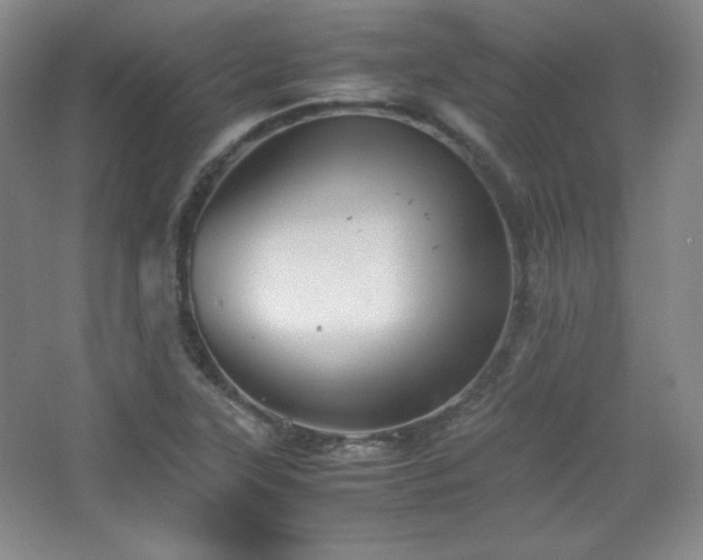 X0000067461315200604071118