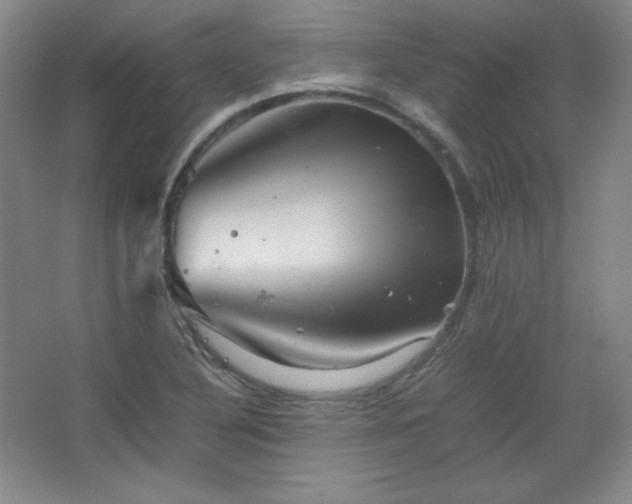 X0000067461316200604071118