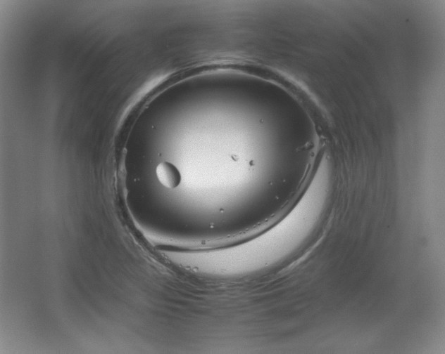 X0000067461317200604071118