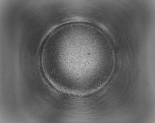 X0000067461318200604071118