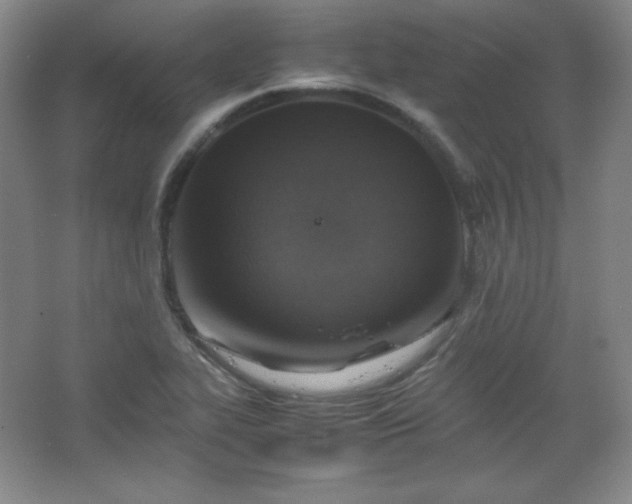 X0000067461319200604071118