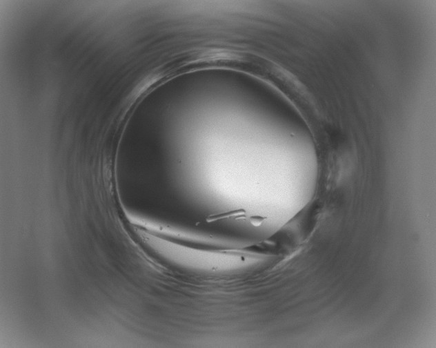 X0000067461321200604071118