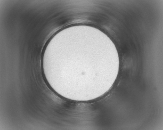 X0000067461322200604071118