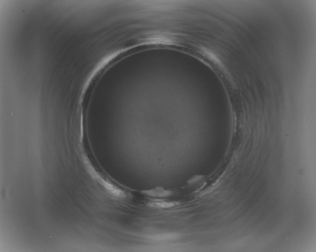 X0000067461323200604071118