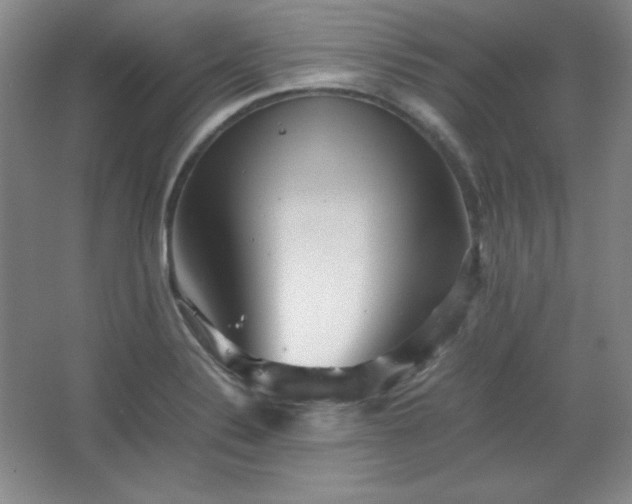 X0000067461324200604071118