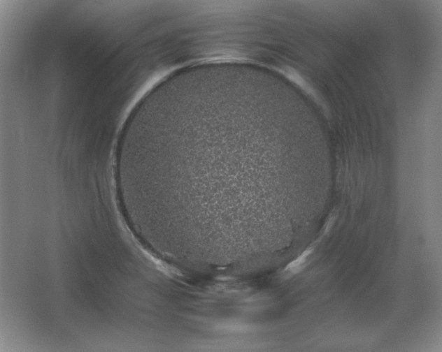 X0000067461325200604071118