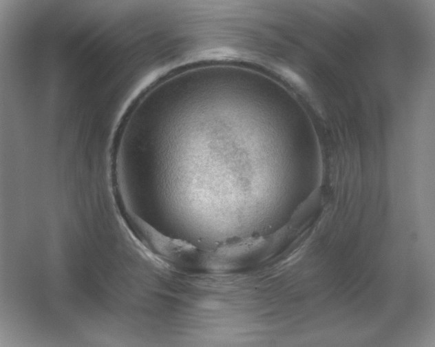 X0000067461326200604071118