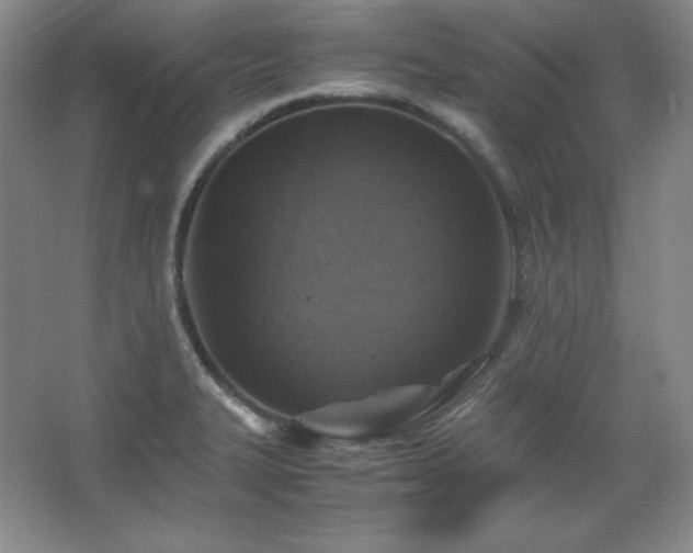 X0000067461327200604071118