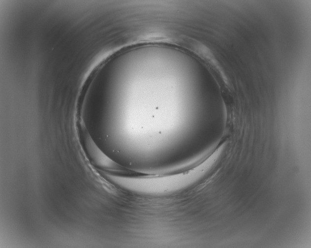 X0000067461328200604071118