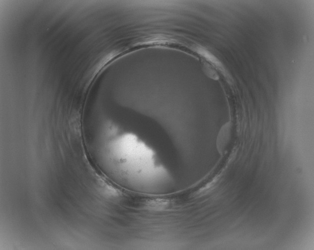 X0000067461329200604071118