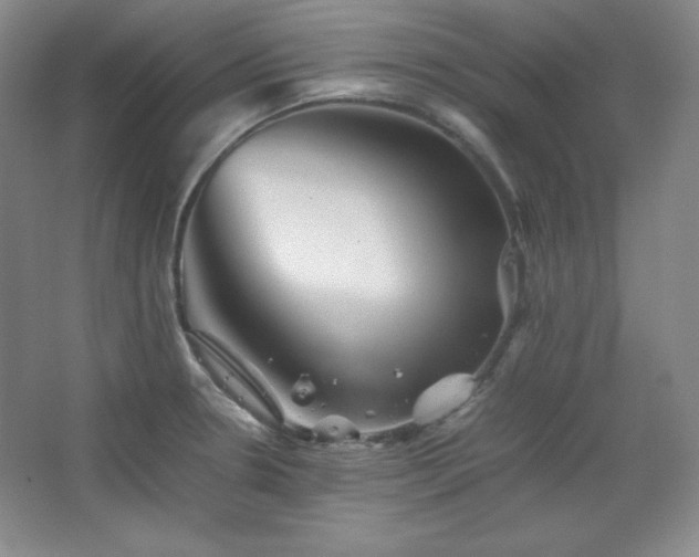 X0000067461330200604071118