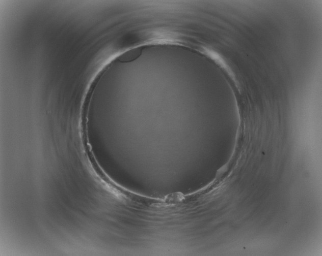 X0000067461331200604071118