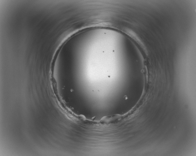 X0000067461332200604071118