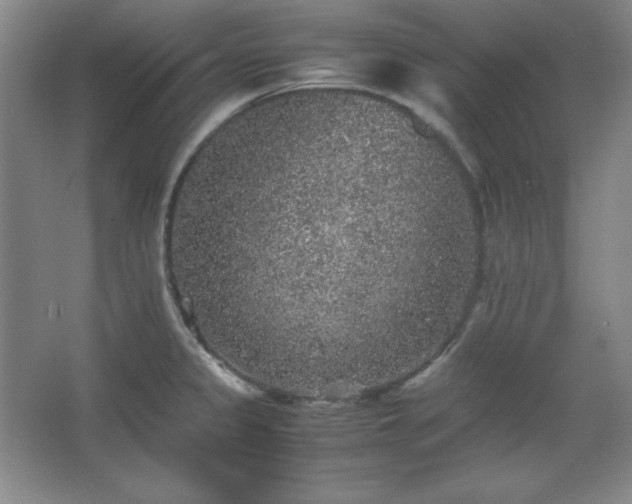 X0000067461333200604071118