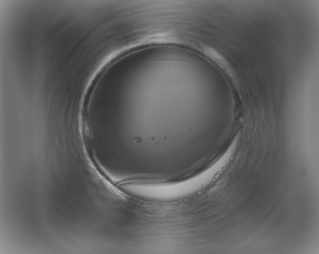 X0000067461334200604071118