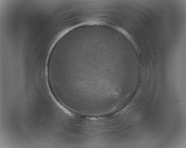 X0000067461335200604071118