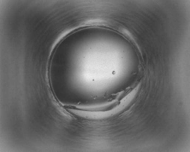 X0000067461336200604071118